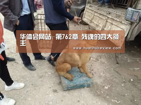 华体会网站-第762章 残魂的四大领主(图1) 华体会网站官网