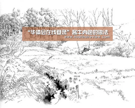 华体会在线登录