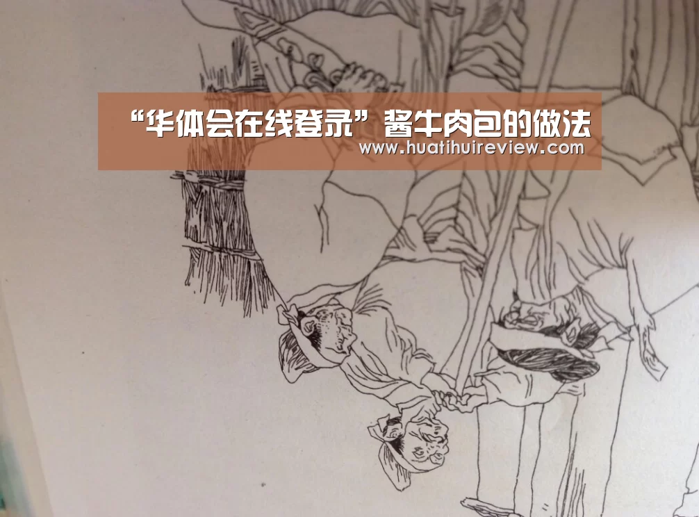 华体会网站