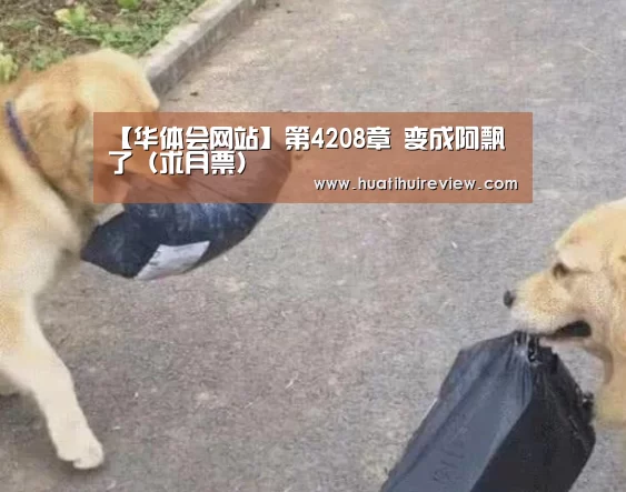 华体会在线登录