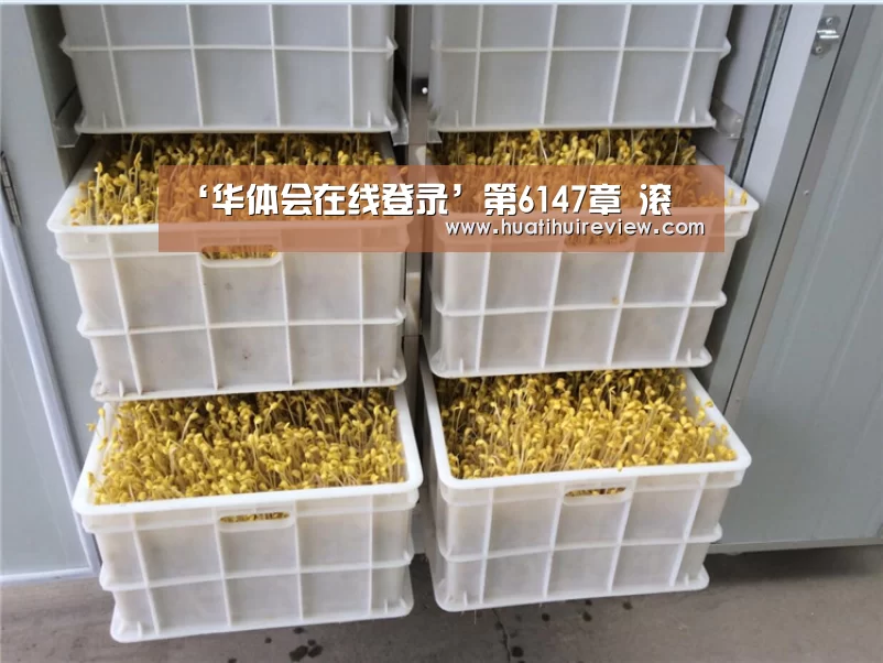 ‘华体会在线登录’第6147章 滚(图2)
